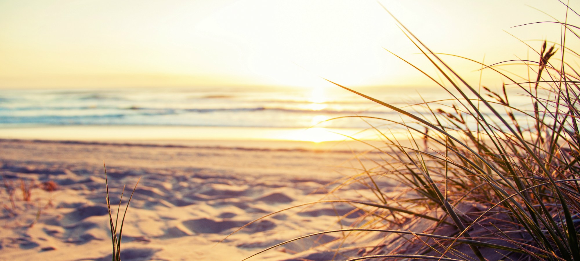 Endodontics Biddeford ME, Endodontist