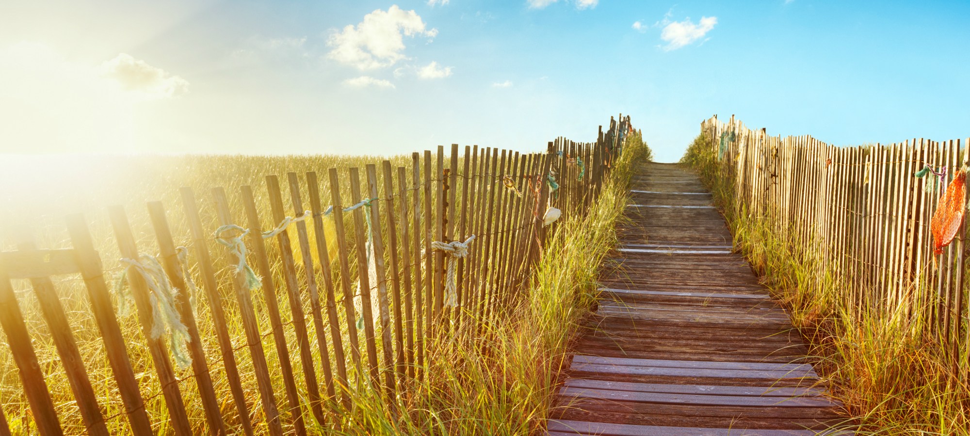 Endodontics Biddeford ME, Endodontist